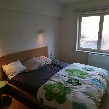 Hakuuna Matata Daire